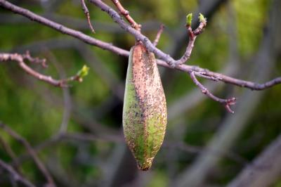 Прикрепленное изображение: 1029s.jpg